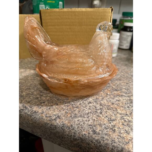 Amber swirl hen on nest - Picture 3 of 4